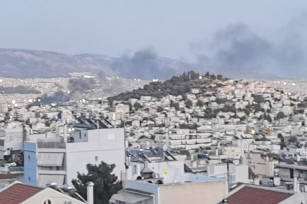 Φωτιά σε επιχείρηση στον Βοτανικό 99