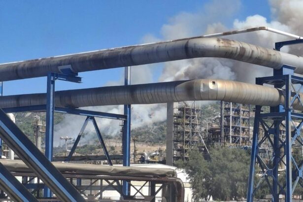 Ο ΑΝΤΑΡΣΥΑ για την πυρκαγιά που απείλησε το Χαϊδάρι 97