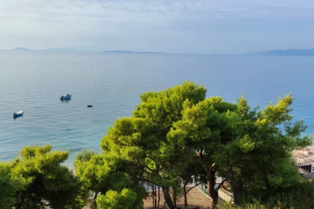 Τι να κάνουμε για την υπέροχη Ριβιέρα της Δυτικής Αττικής και το ελληνικό "Μόντε Κάρλο" 91
