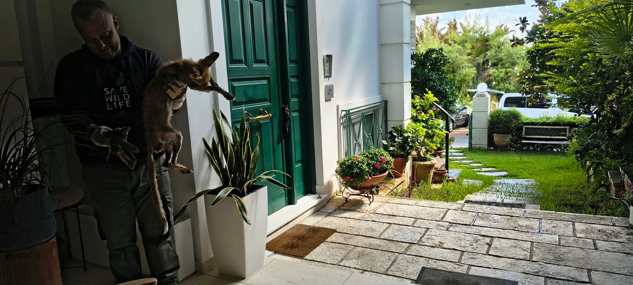 Το δάκρυ για το αλεπουδάκι που ζήτησε καταφύγιο στην πόρτα μας 3