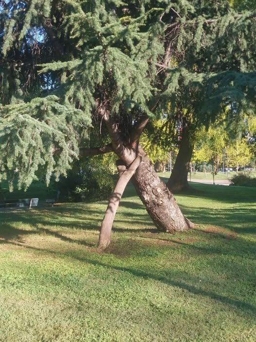 "Όποιος το έκανε μπράβο του, τόσο απλό, τόσο αποτελεσματικό, τόσο καθόλου αυτονόητο...." 15